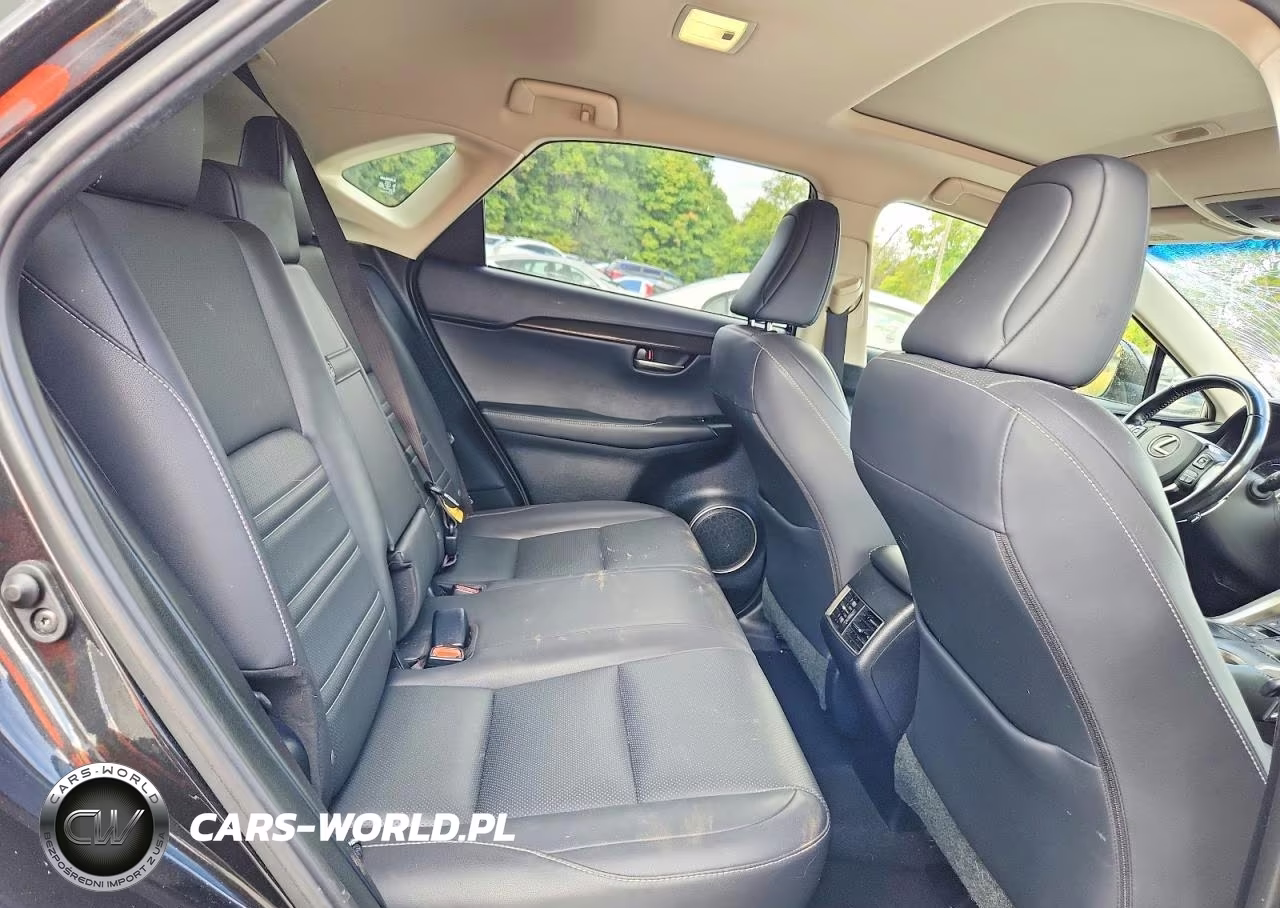 2018 Lexus Nx 300H VIN:JTJBJRBZ2J2085738 - 11