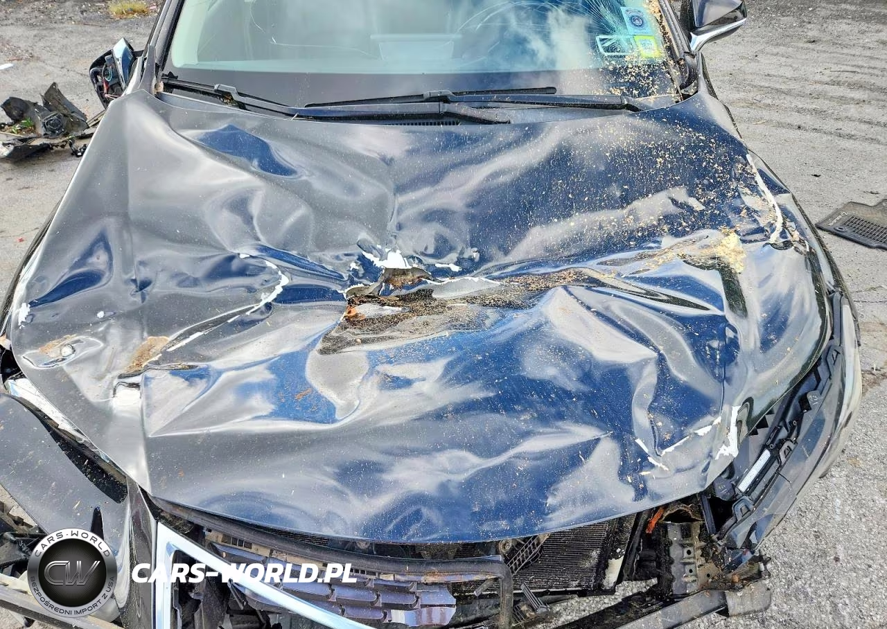 2018 Lexus Nx 300H VIN:JTJBJRBZ2J2085738 - 12