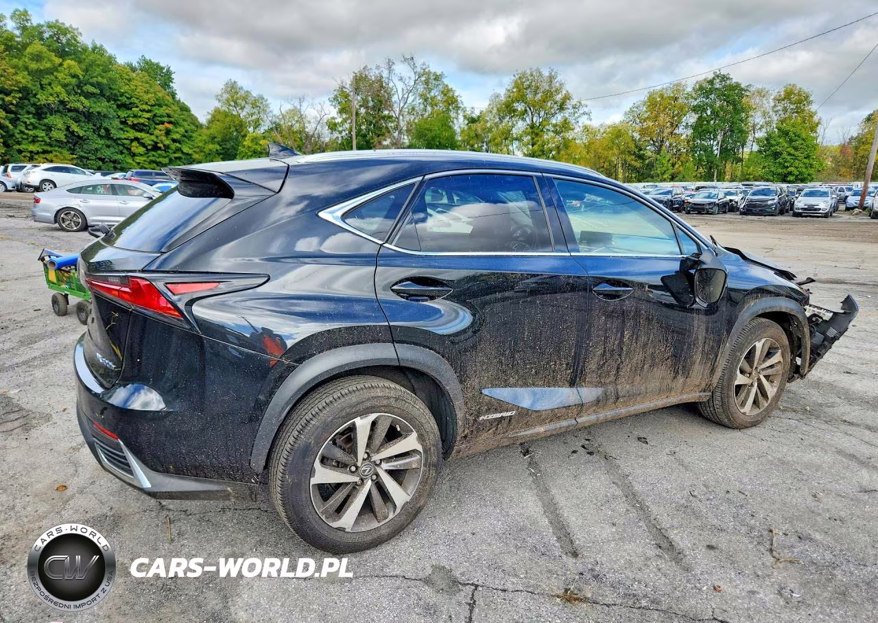 2018 Lexus Nx 300H VIN:JTJBJRBZ2J2085738 - 3