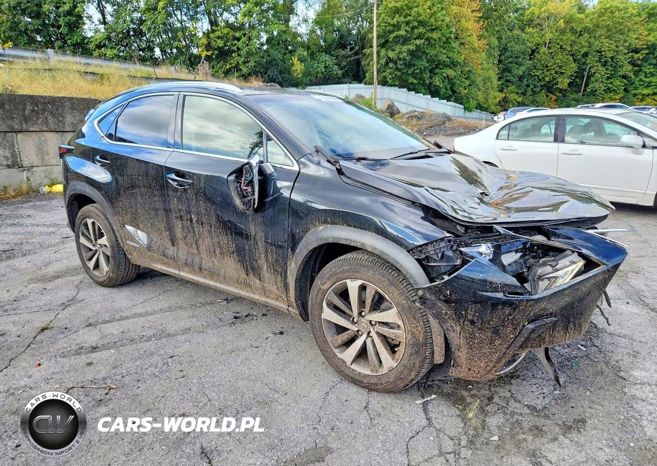 2018 Lexus Nx 300H VIN:JTJBJRBZ2J2085738 - 4
