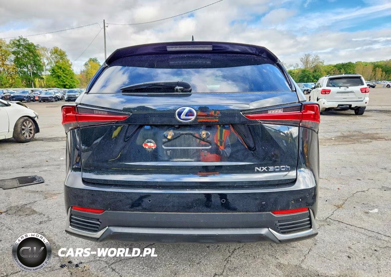 2018 Lexus Nx 300H VIN:JTJBJRBZ2J2085738 - 6