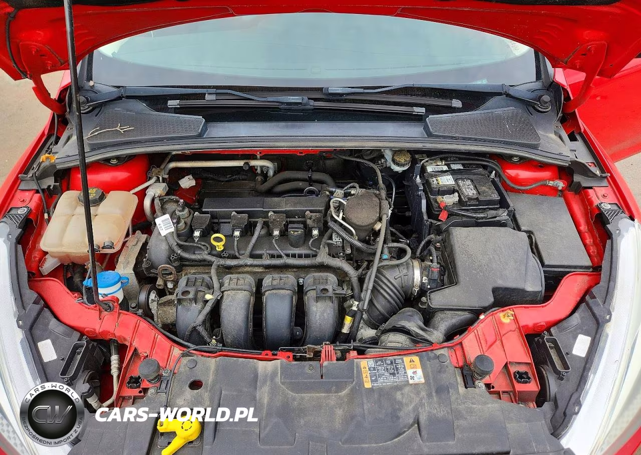 2015 Ford Focus Se VIN:1FADP3K21FL212996 - 11