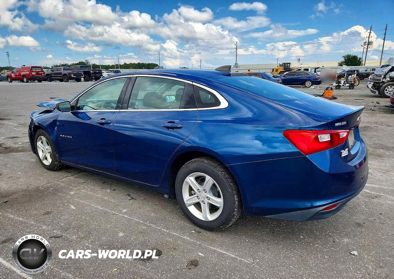 2019 Chevrolet Malibu Ls VIN:1G1ZB5ST9KF213897 - 2