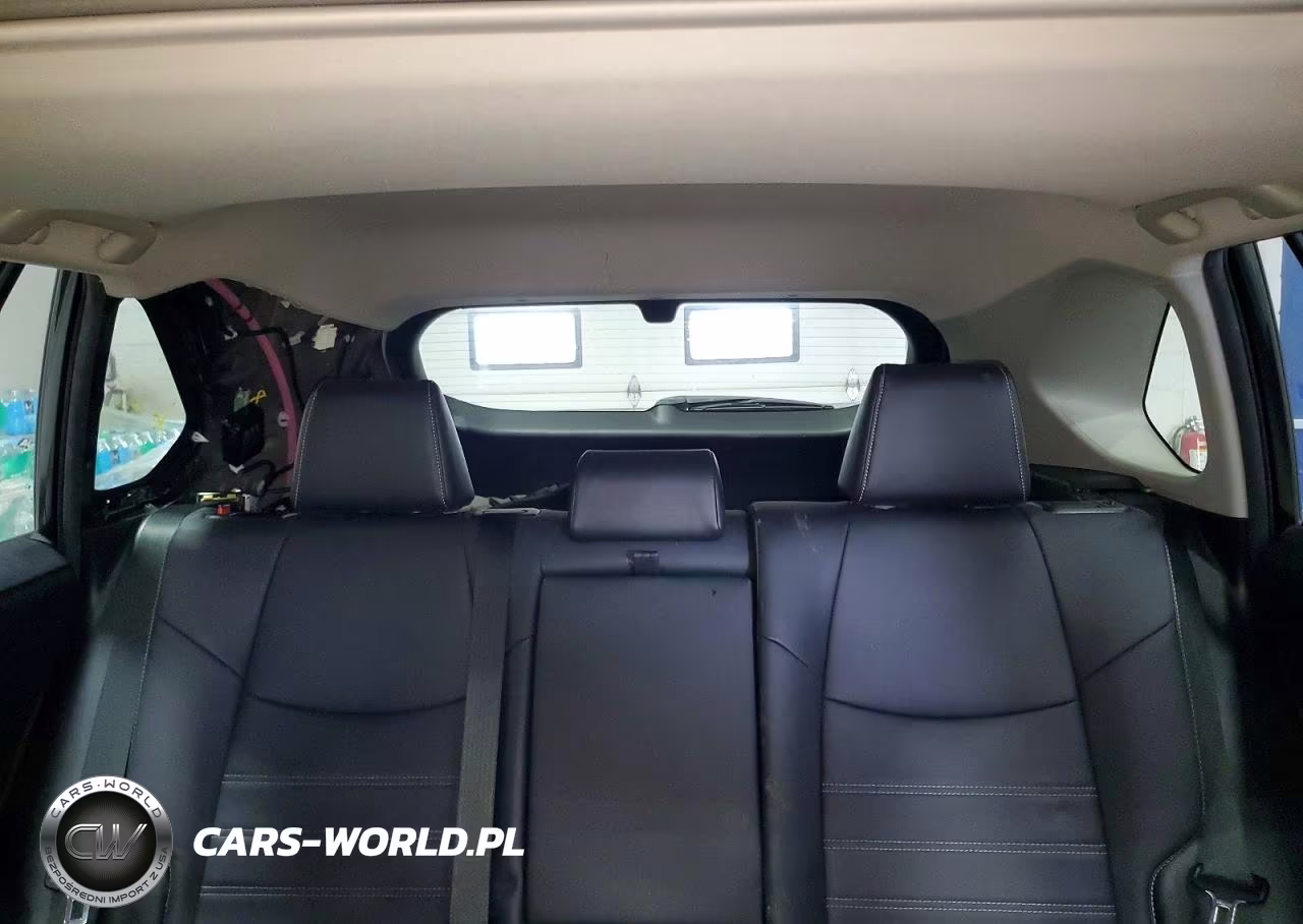 2019 Toyota Rav4 Xle Premium VIN:JTMA1RFV3KD039413 - 10