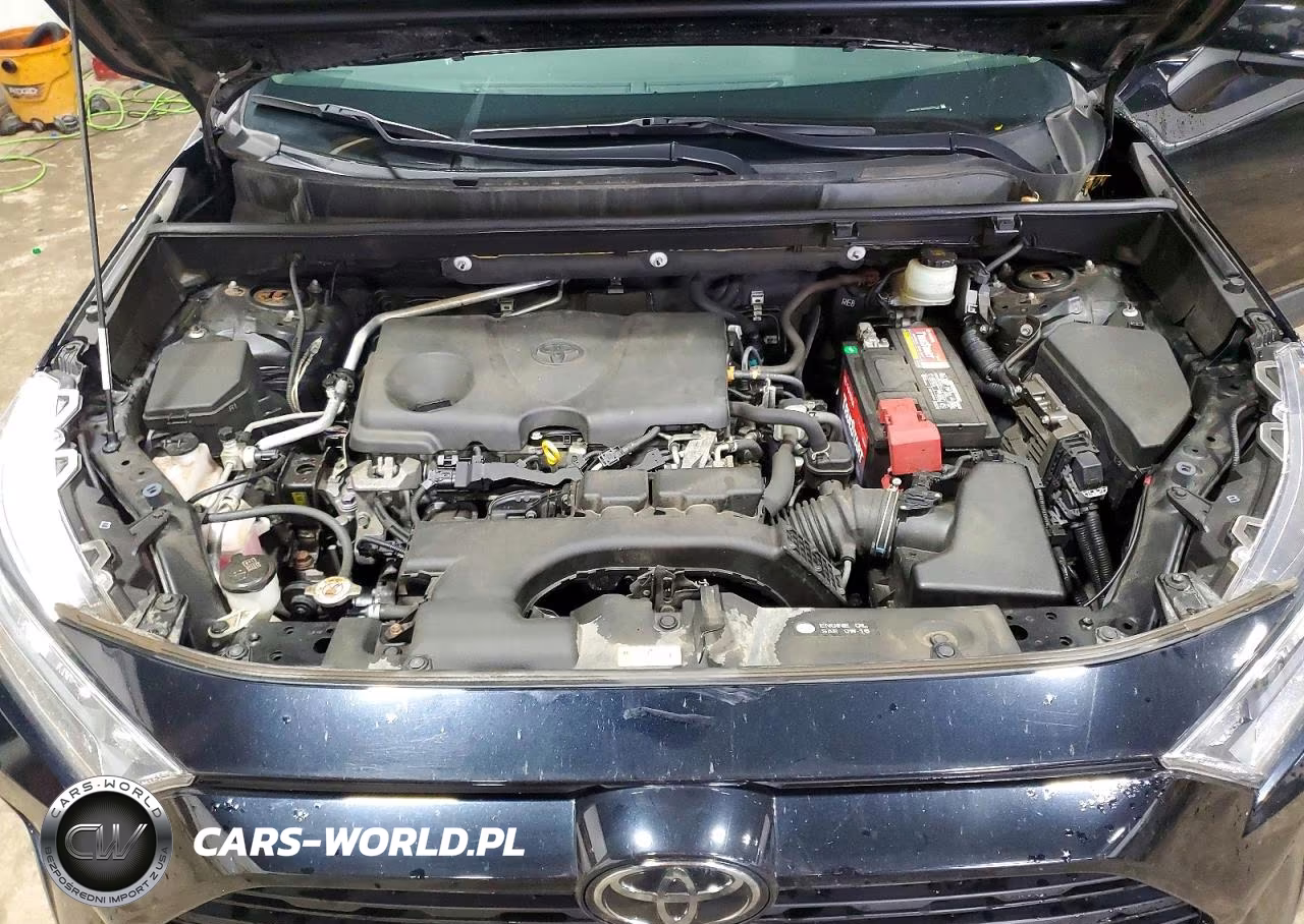 2019 Toyota Rav4 Xle Premium VIN:JTMA1RFV3KD039413 - 12