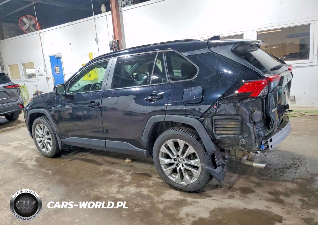 2019 Toyota Rav4 Xle Premium VIN:JTMA1RFV3KD039413 - 2
