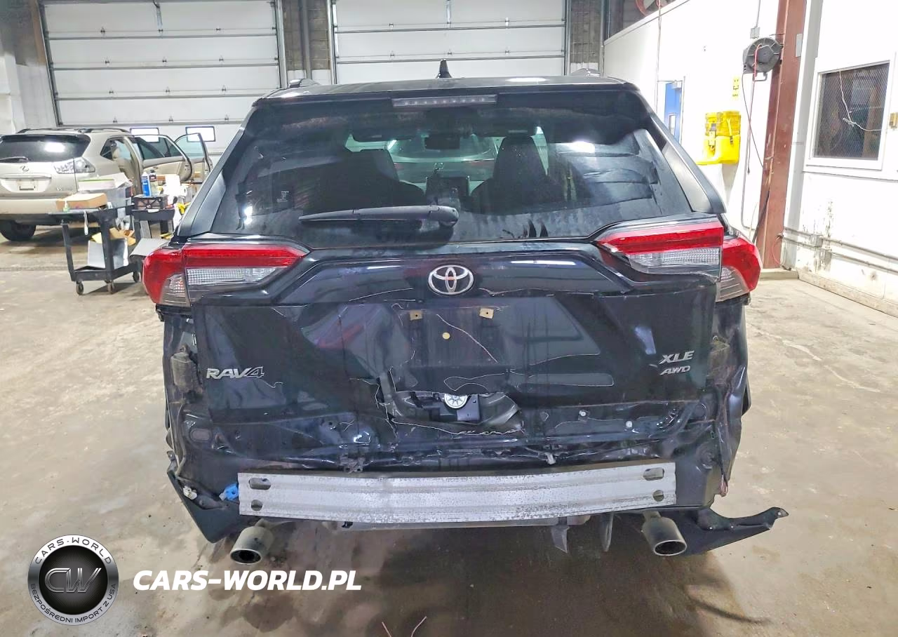 2019 Toyota Rav4 Xle Premium VIN:JTMA1RFV3KD039413 - 6