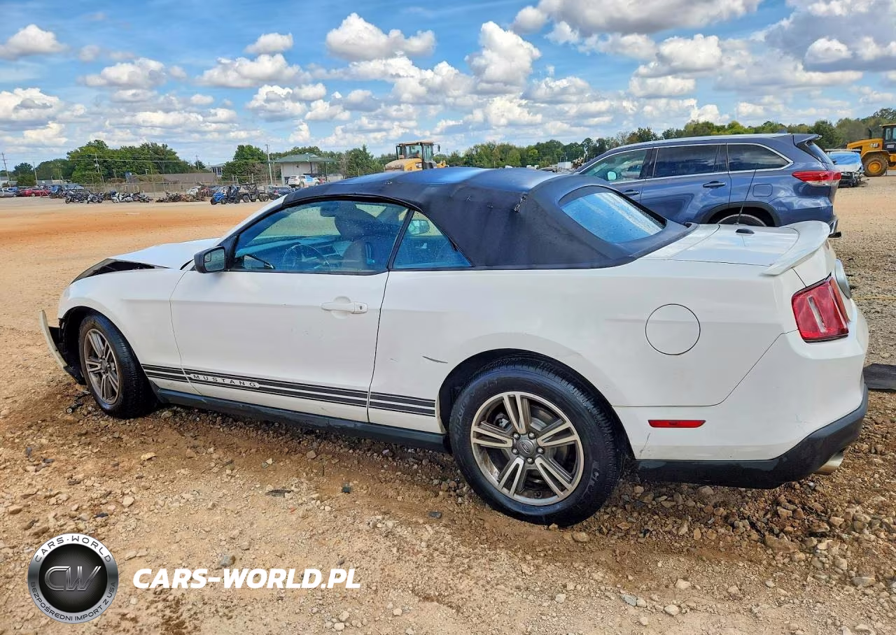 2011 Ford Mustang VIN:1ZVBP8EM6B5152494 - 2