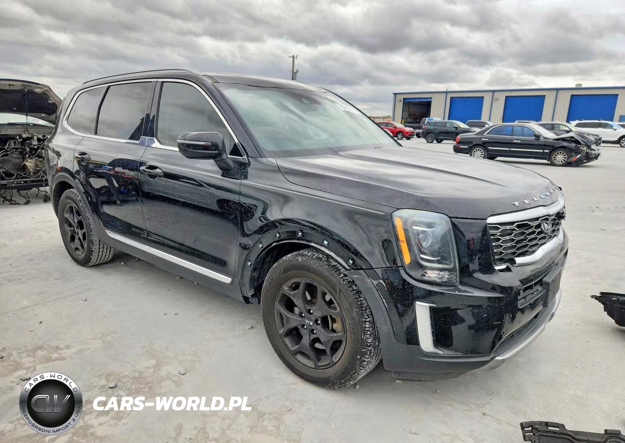 2020 Kia Telluride Ex VIN:5XYP34HC9LG038837 - 4