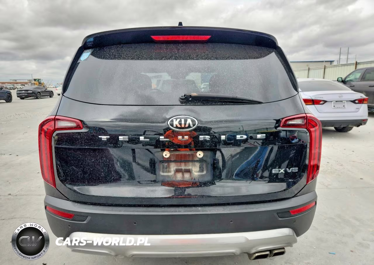 2020 Kia Telluride Ex VIN:5XYP34HC9LG038837 - 6