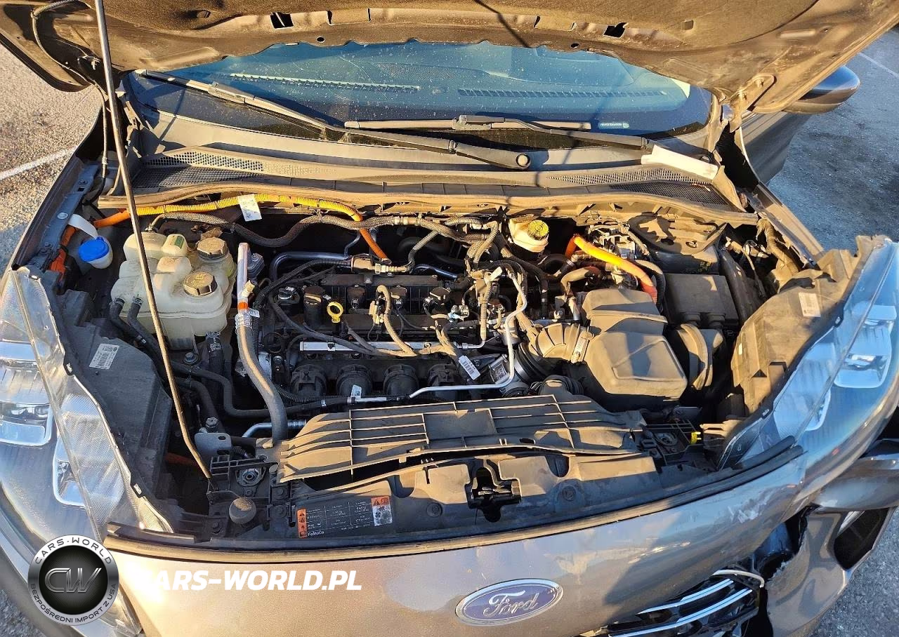 2022 Ford Escape Titanium VIN:1FMCU0DZ5NUA05359 - 12