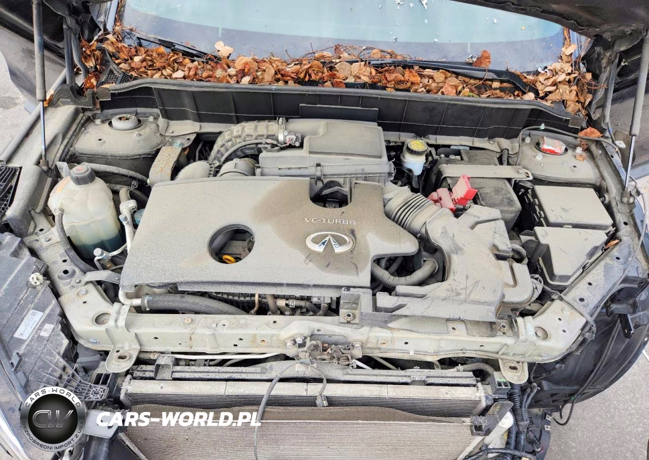 2020 Infiniti Qx50 Essential VIN:3PCAJ5M15LF106547 - 12