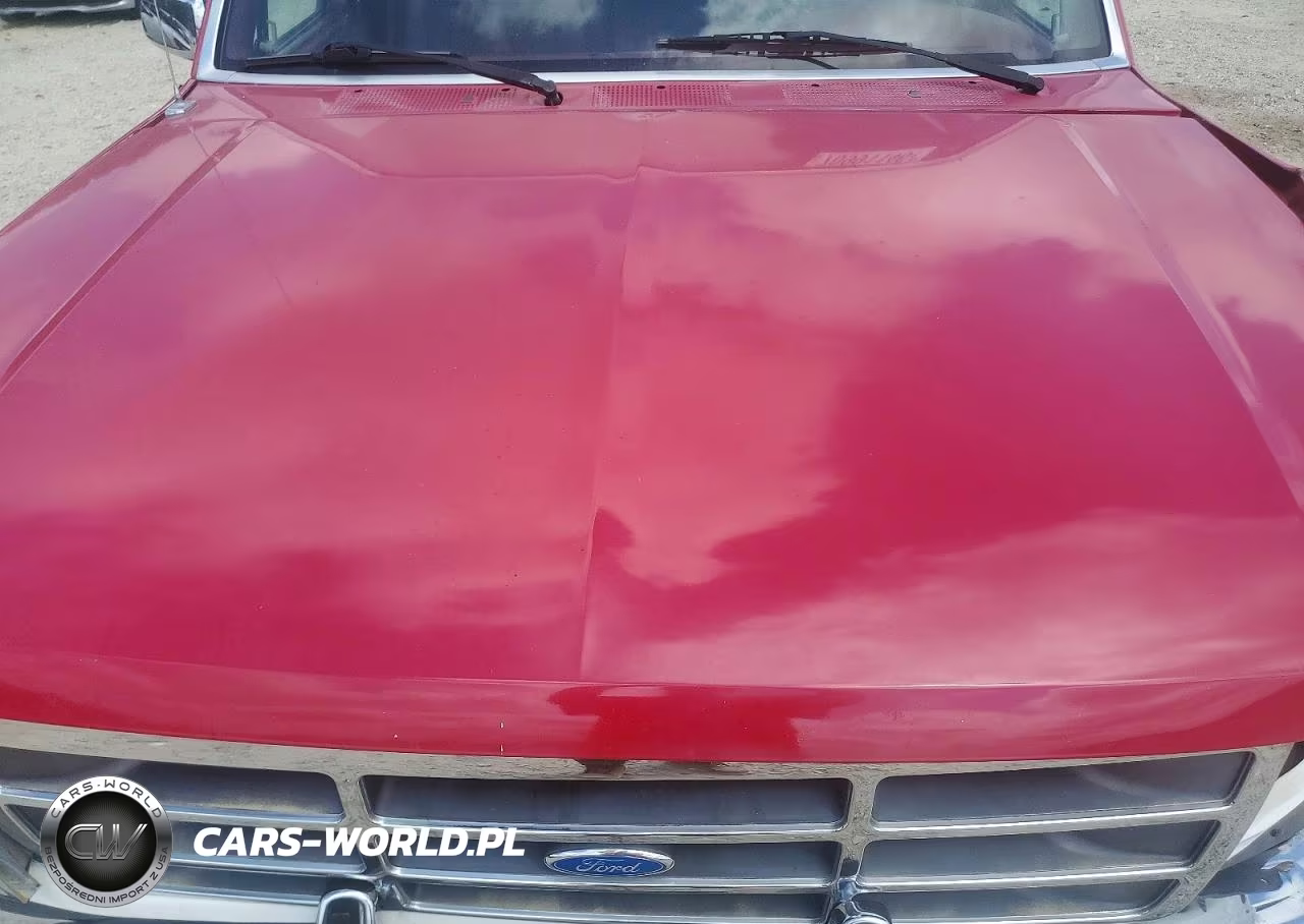 1994 Ford F150 VIN:1FTEF15NXRNB05045 - 11
