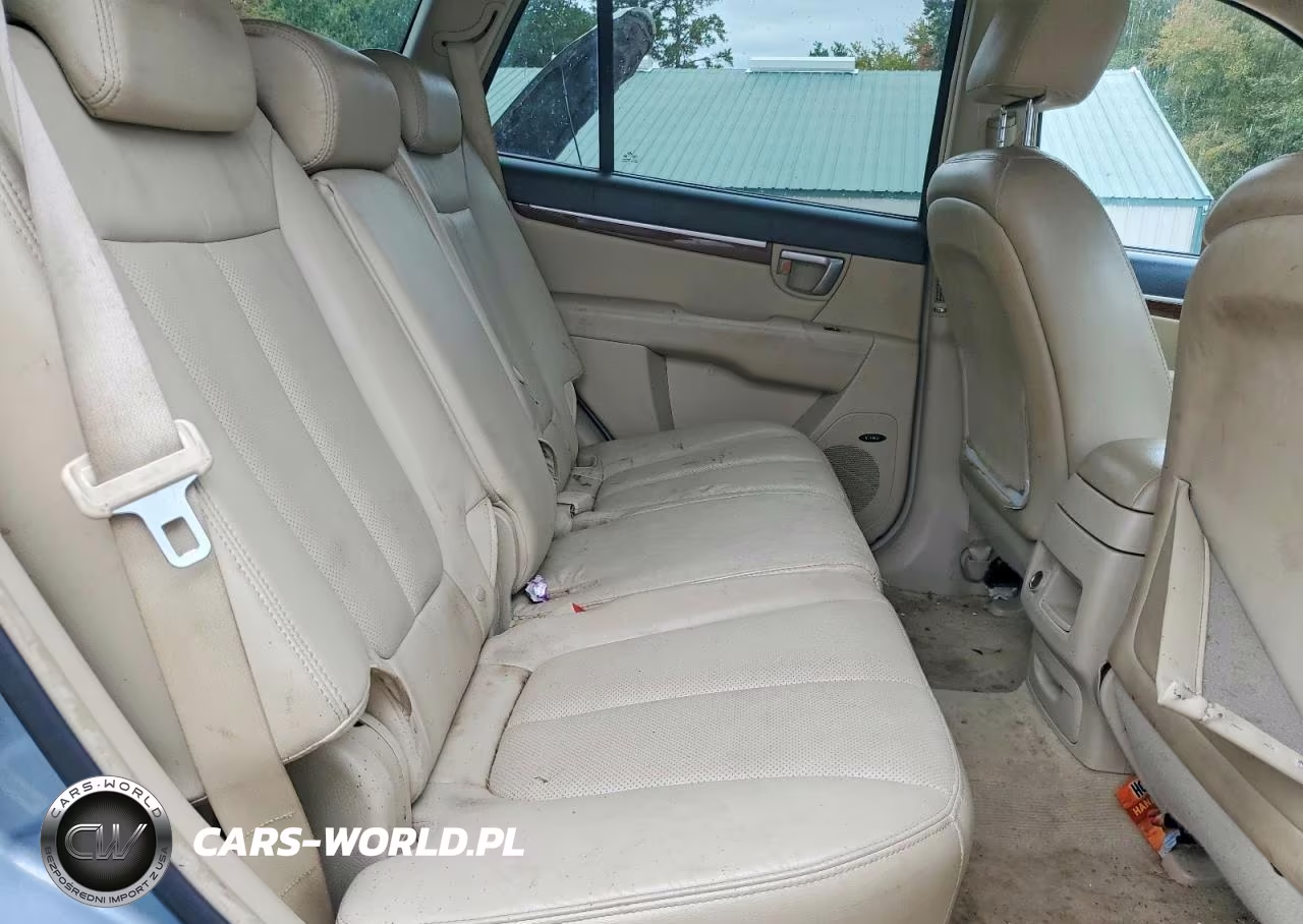 2009 Hyundai Santa Fe Limited VIN:5NMSH73E09H314245 - 11