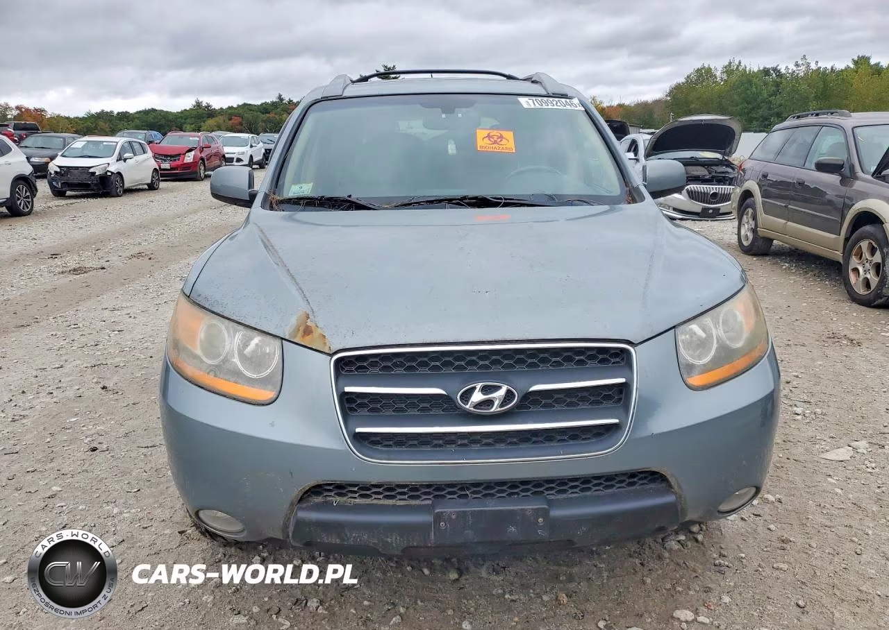 2009 Hyundai Santa Fe Limited VIN:5NMSH73E09H314245 - 5