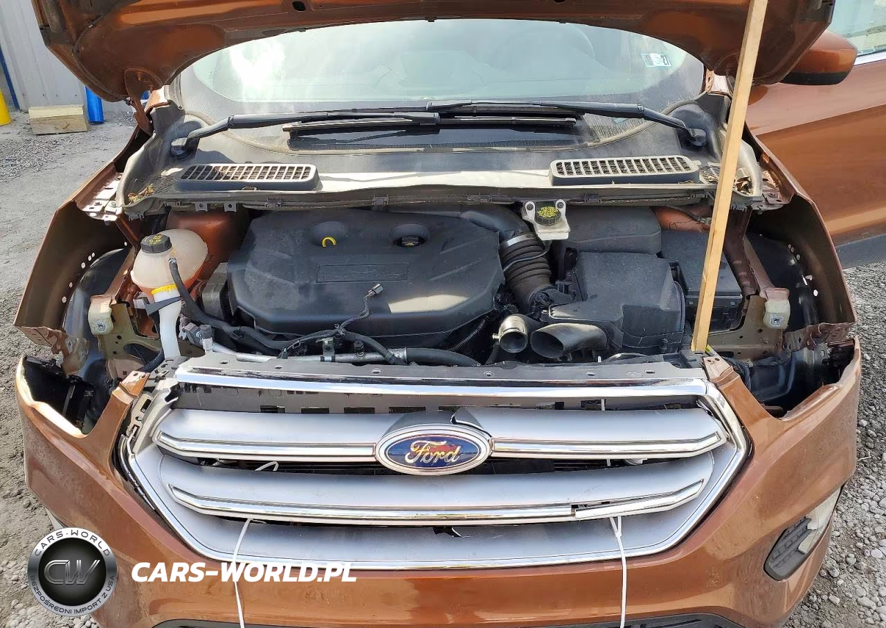 2017 Ford Escape Se VIN:1FMCU9G91HUB98307 - 12