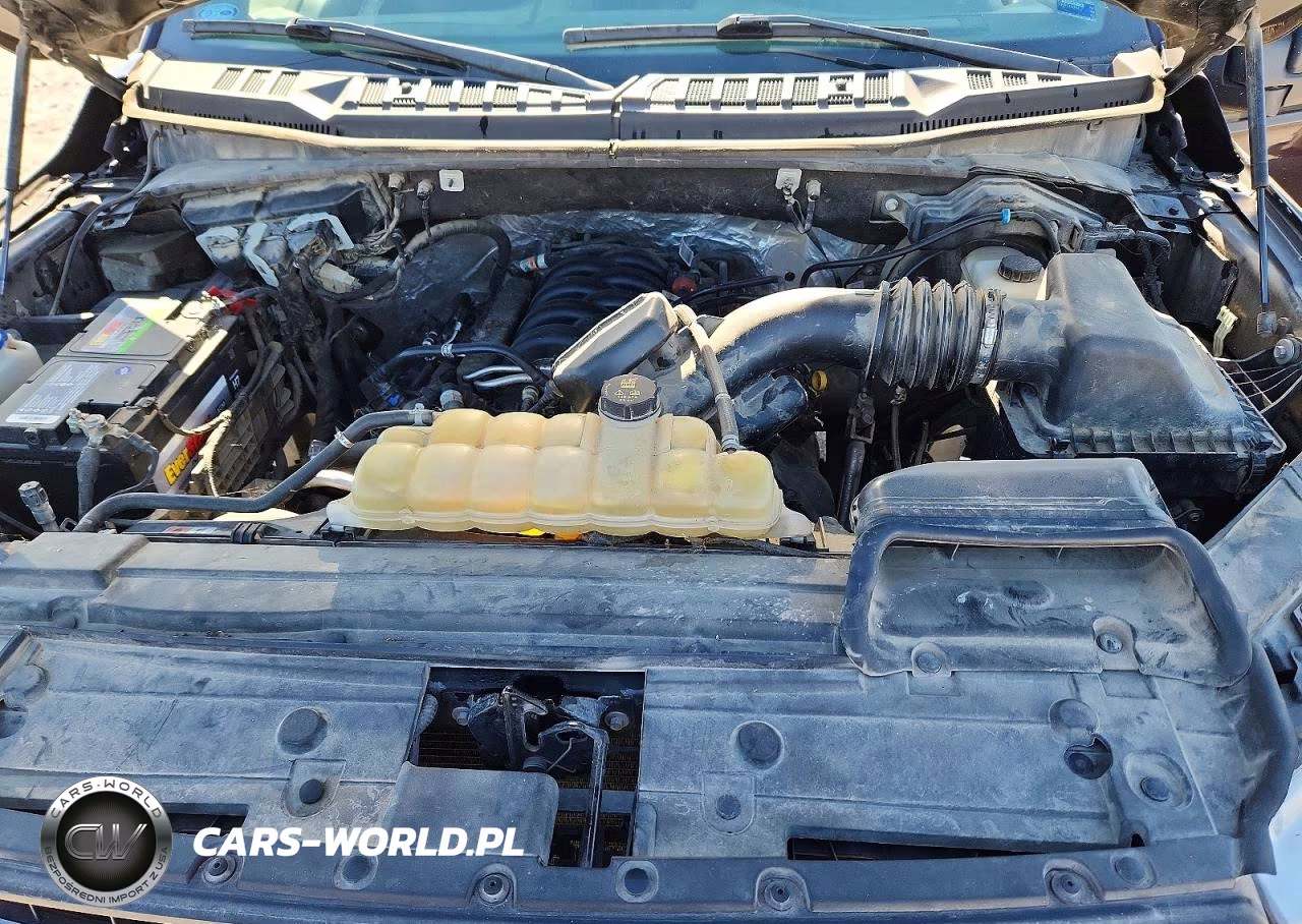 2019 Ford F150 Supercrew VIN:1FTEW1E58KKC38927 - 11