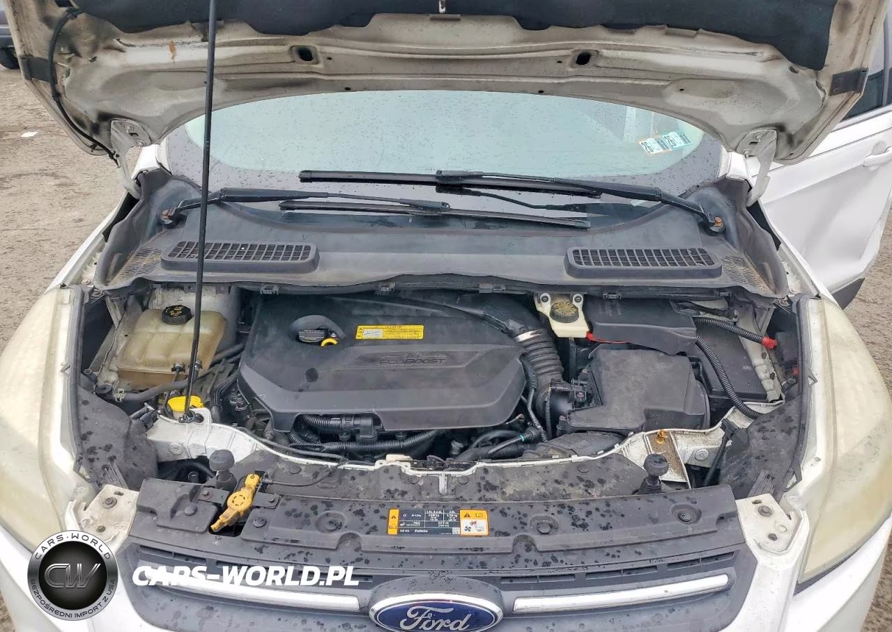 2013 Ford Escape Se VIN:1FMCU9GX2DUC38340 - 12
