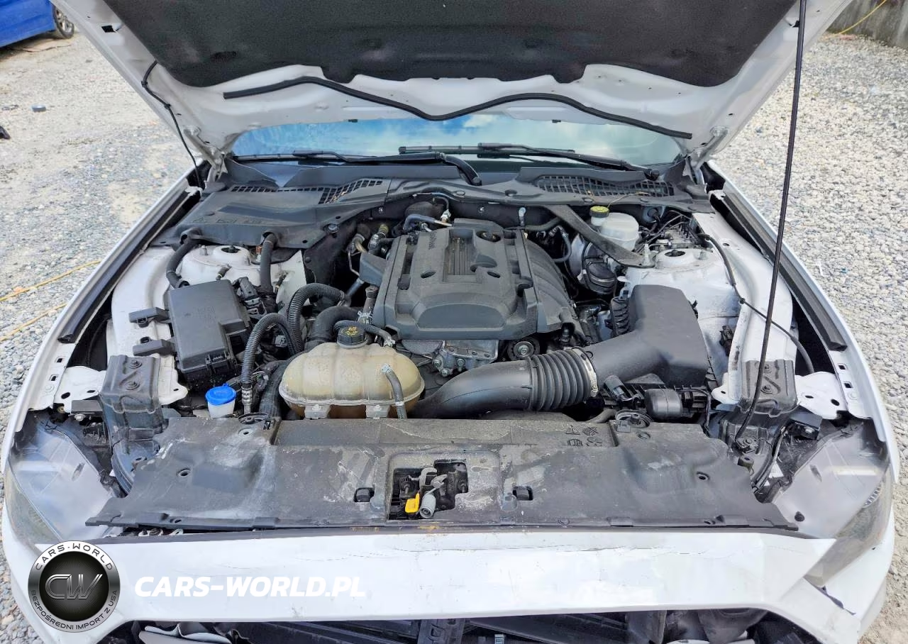 2020 Ford Mustang VIN:1FATP8UH8L5161880 - 11