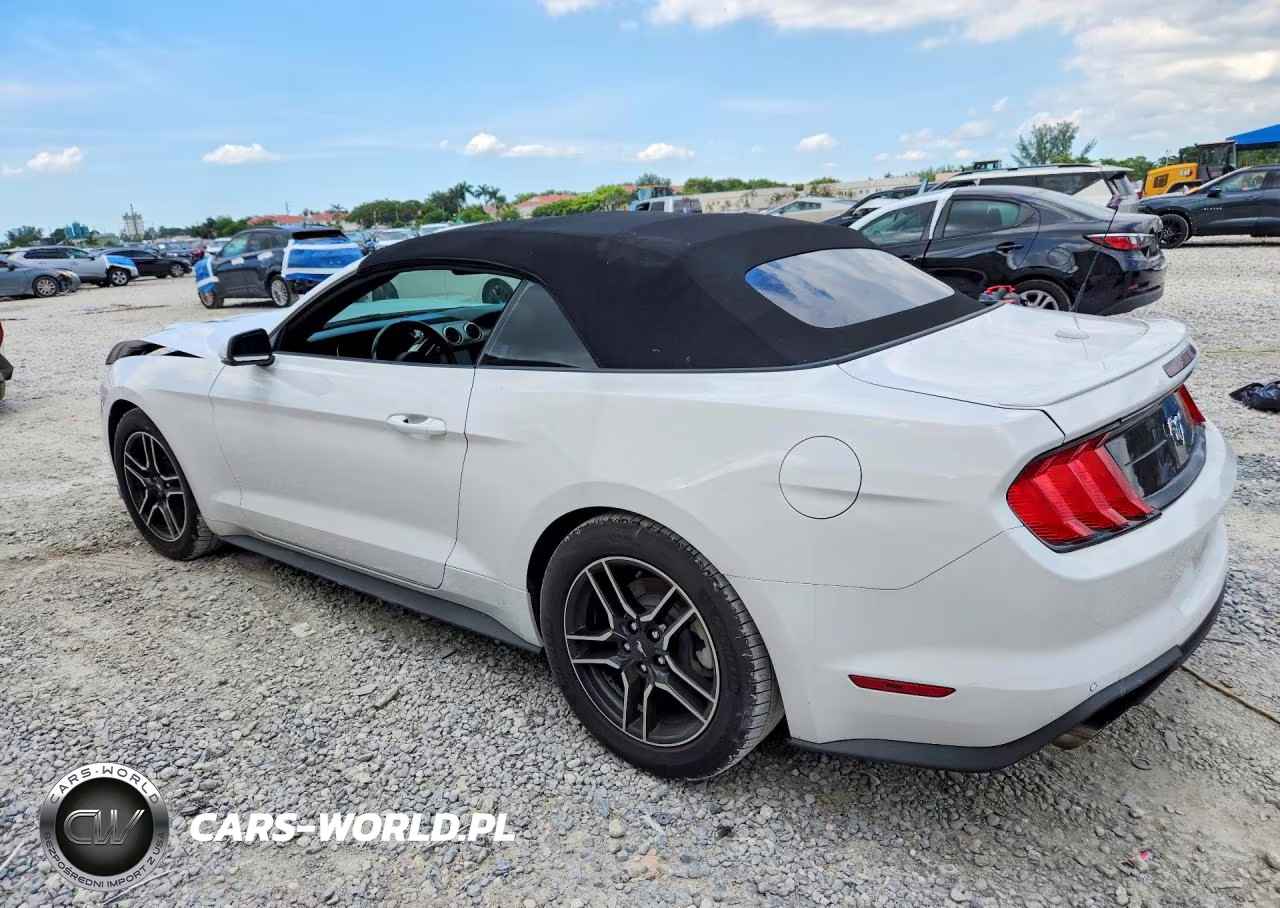 2020 Ford Mustang VIN:1FATP8UH8L5161880 - 2