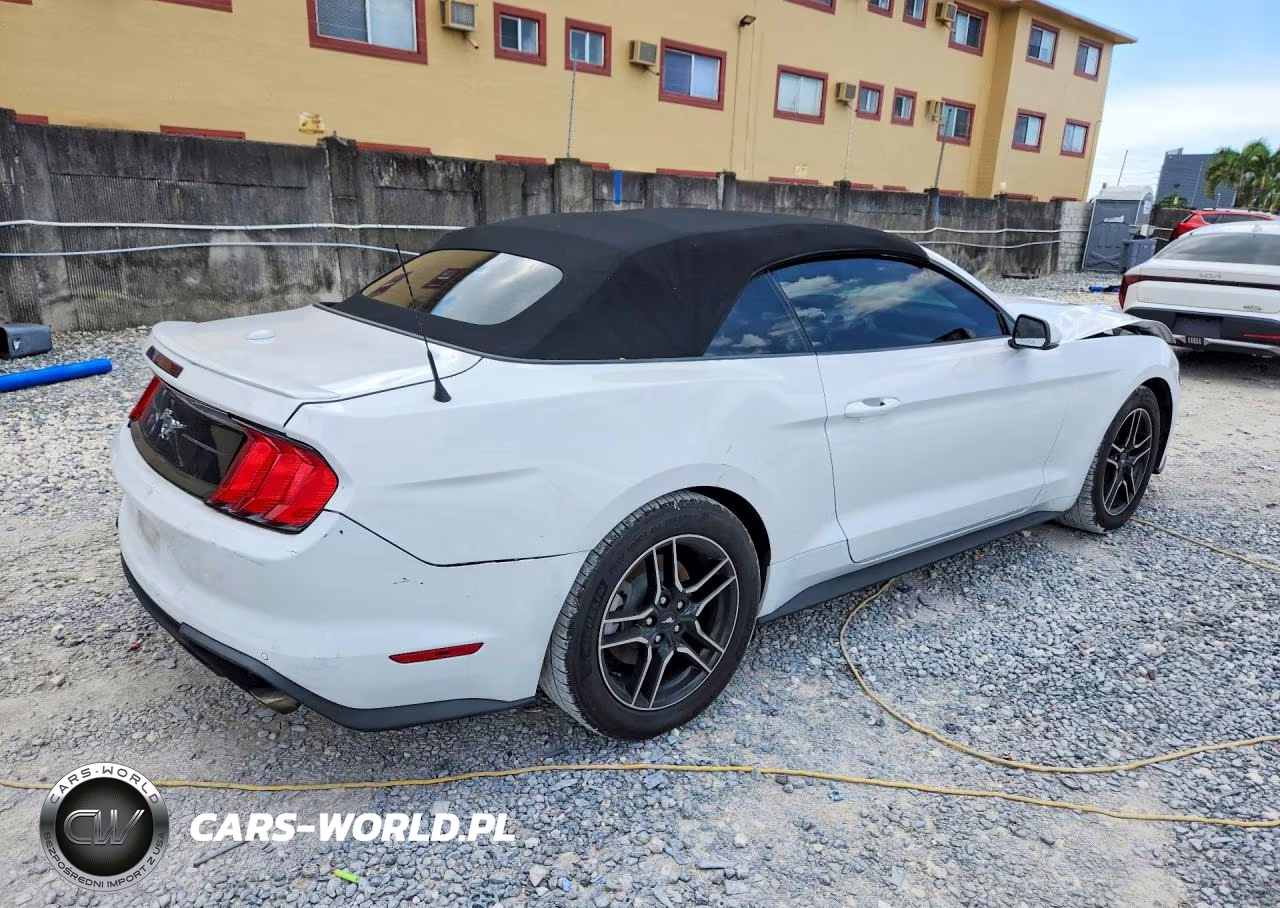 2020 Ford Mustang VIN:1FATP8UH8L5161880 - 3