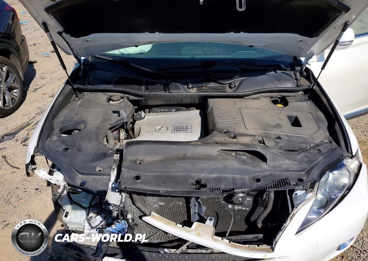 2010 Lexus Rx 450H VIN:JTJBC1BA0A2019887 - 12