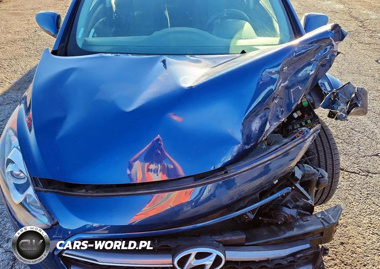2016 Hyundai Elantra Gt Base VIN:KMHD35LH3GU266618 - 11