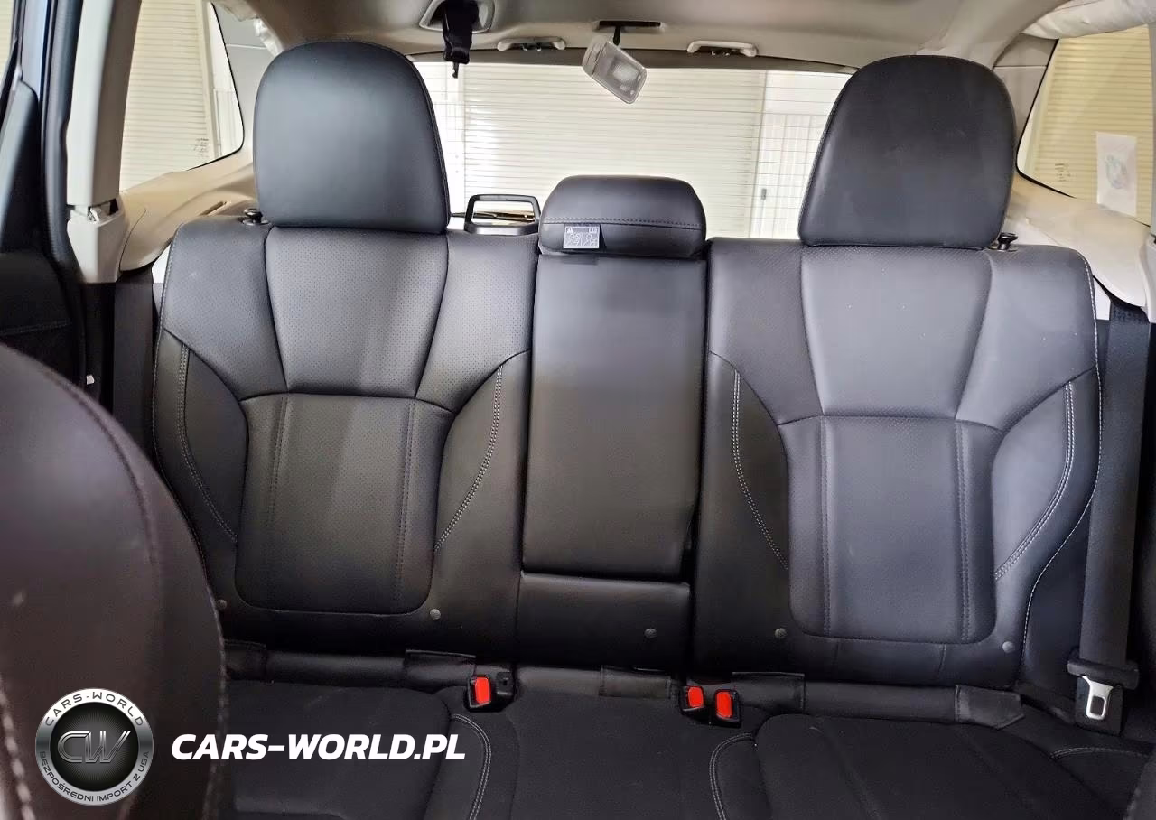 2023 Subaru Forester Limited VIN:JF2SKAPC4PH463801 - 10