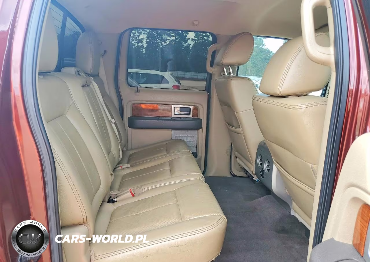 2010 Ford F-150 Lari VIN:1FTFW1CV1AFC16251 - 10