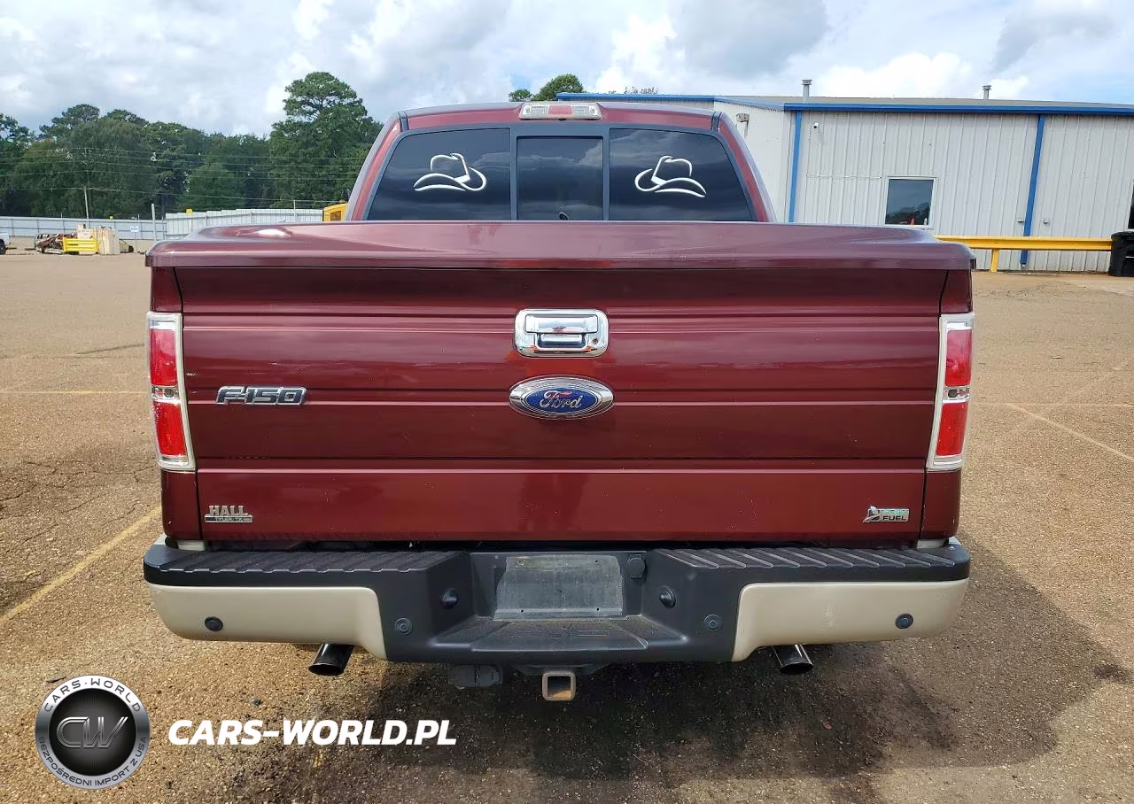 2010 Ford F-150 Lari VIN:1FTFW1CV1AFC16251 - 6