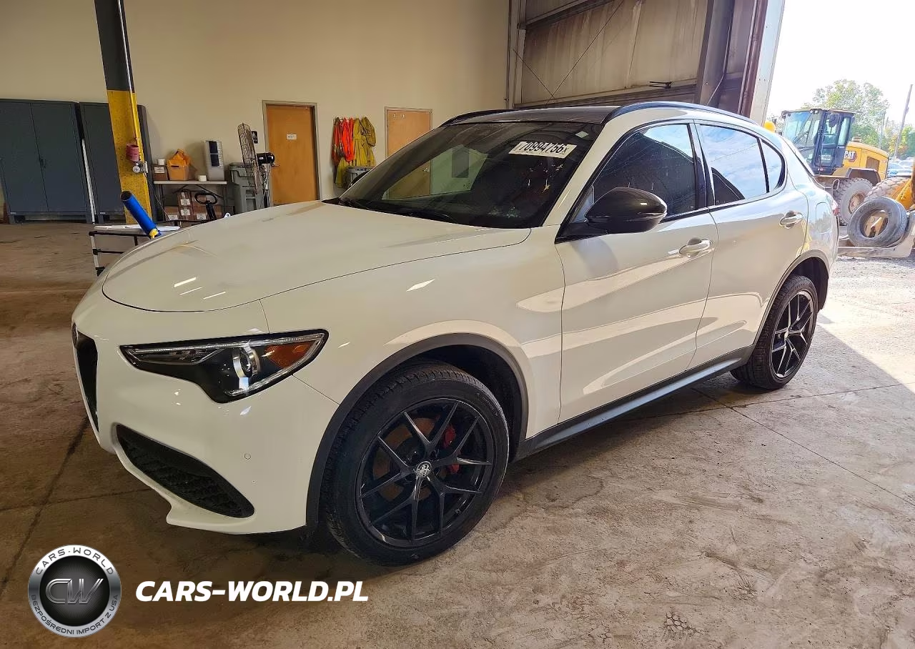 2019 Alfa Romeo Stelvio Ti VIN:ZASPAKBN6K7C56970 - 1