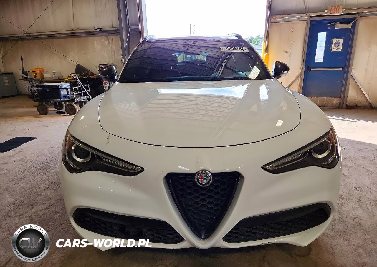 2019 Alfa Romeo Stelvio Ti VIN:ZASPAKBN6K7C56970 - 5