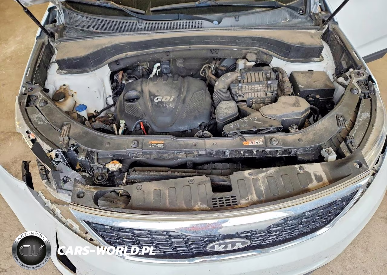 2014 Kia Sorento Lx VIN:5XYKT3A6XEG482966 - 12