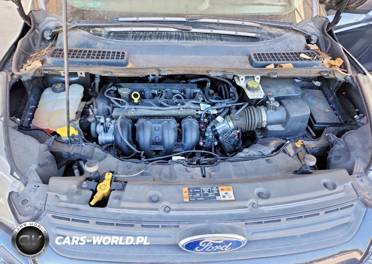 2016 Ford Escape S VIN:1FMCU0F7XGUA03749 - 12