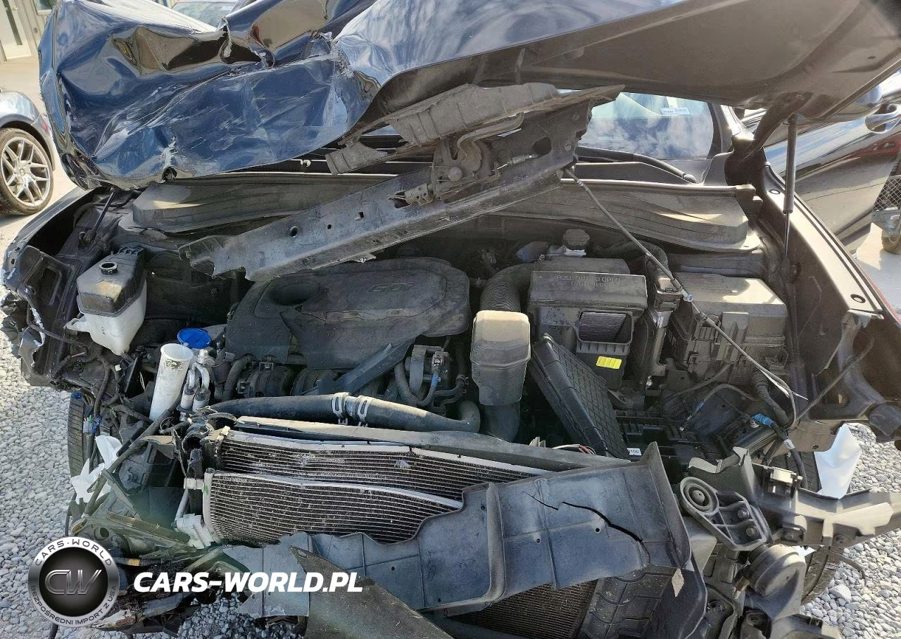 2019 Hyundai Santa Fe Se VIN:5NMS23AD3KH044518 - 12