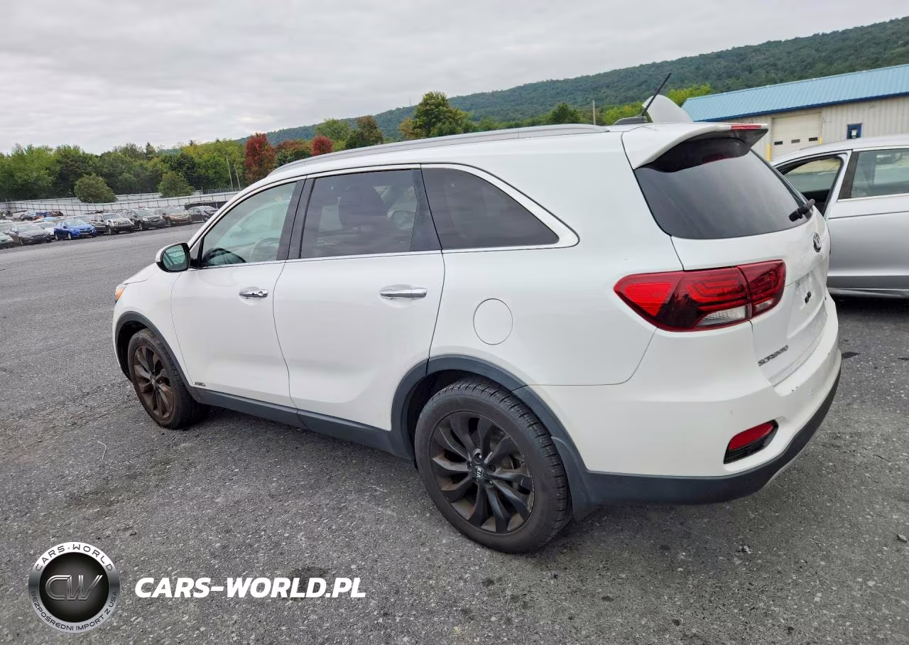 2020 Kia Sorento Ex V6 VIN:5XYPHDA5XLG676026 - 2