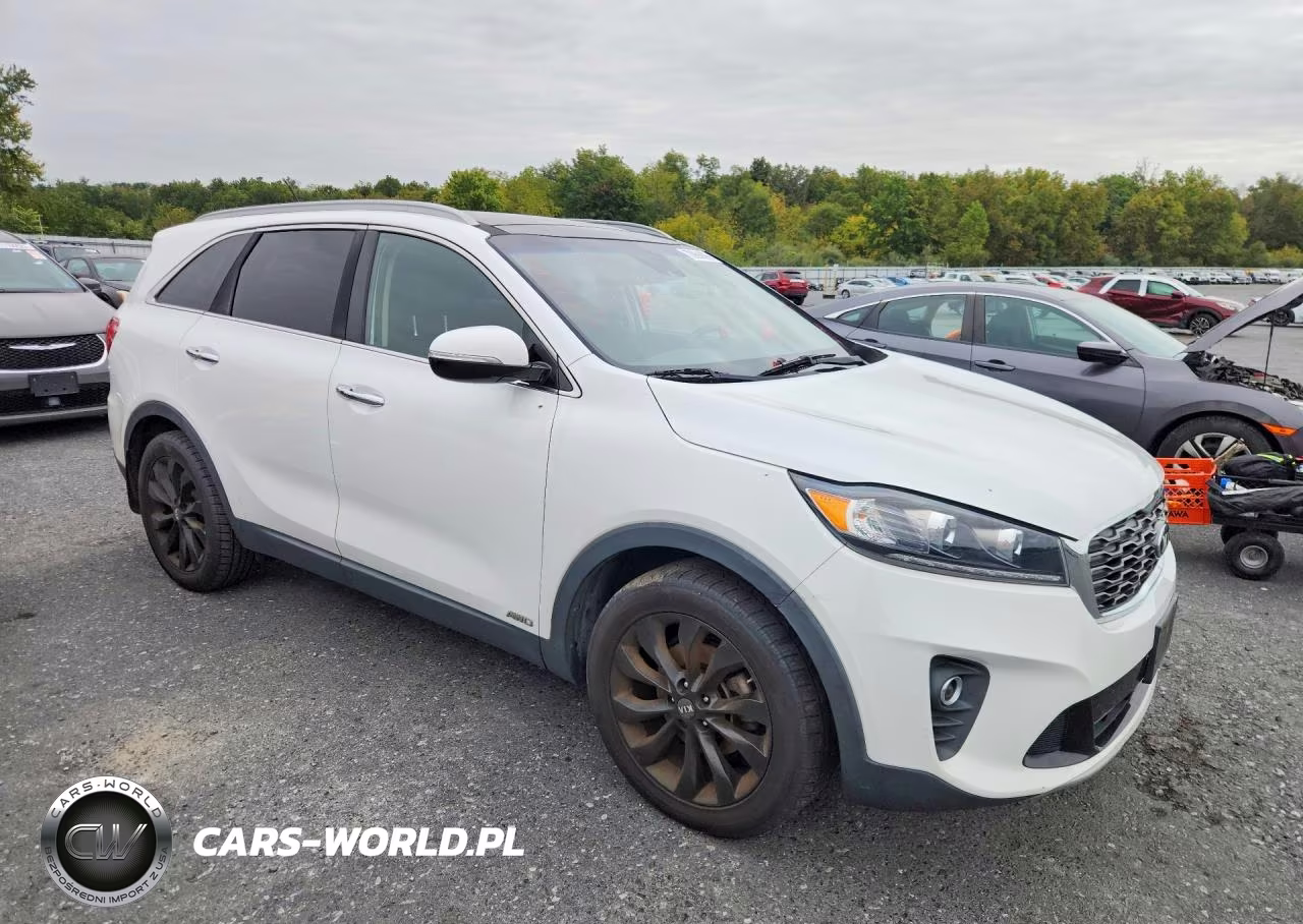 2020 Kia Sorento Ex V6 VIN:5XYPHDA5XLG676026 - 4