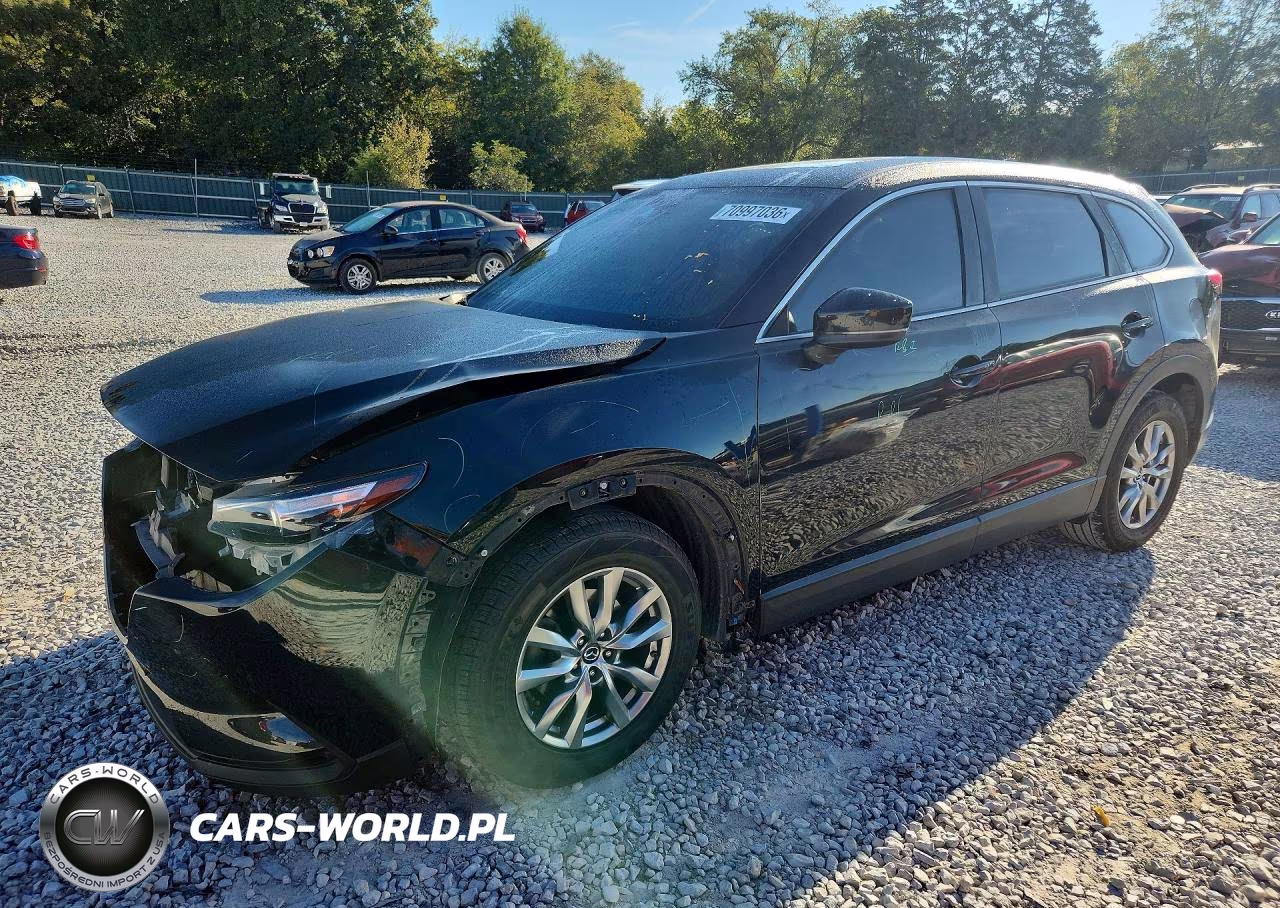 2019 Mazda Cx-9 Touring VIN:JM3TCACY9K0304370 - 1