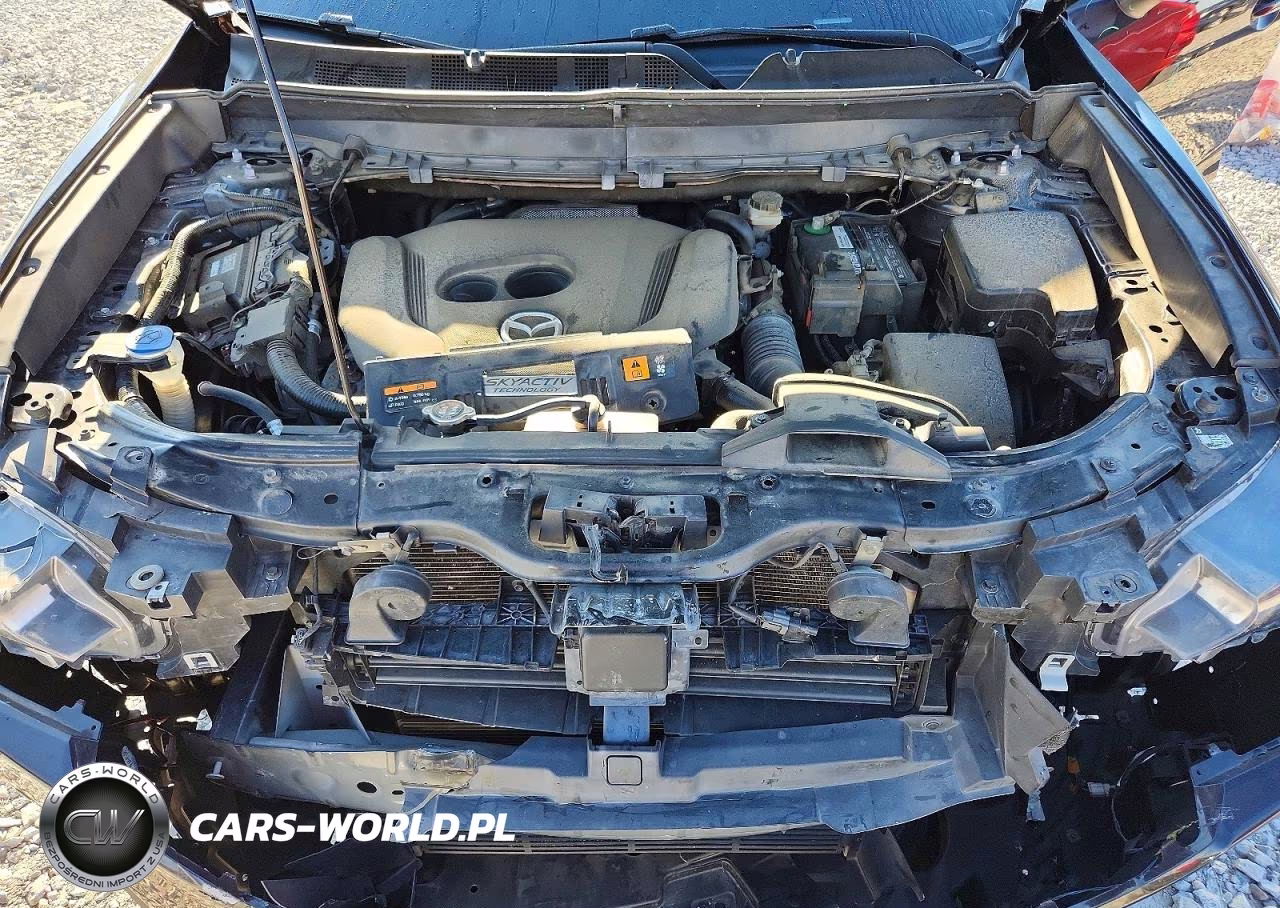 2019 Mazda Cx-9 Touring VIN:JM3TCACY9K0304370 - 12