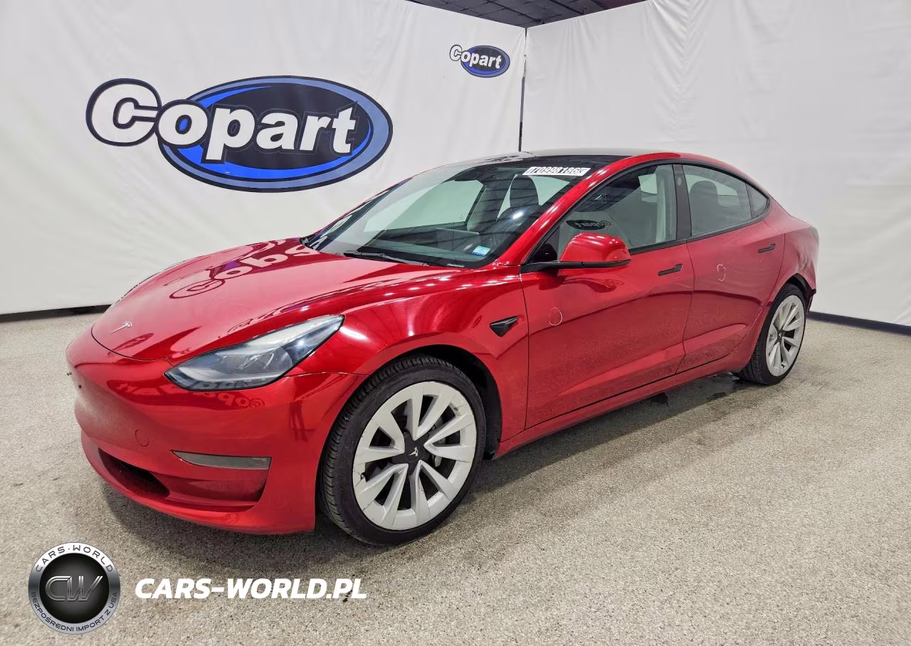 2023 Tesla Model 3 VIN:5YJ3E1EA3PF460268 - 1