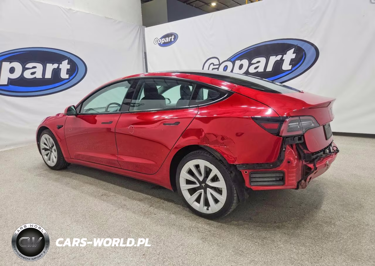 2023 Tesla Model 3 VIN:5YJ3E1EA3PF460268 - 2