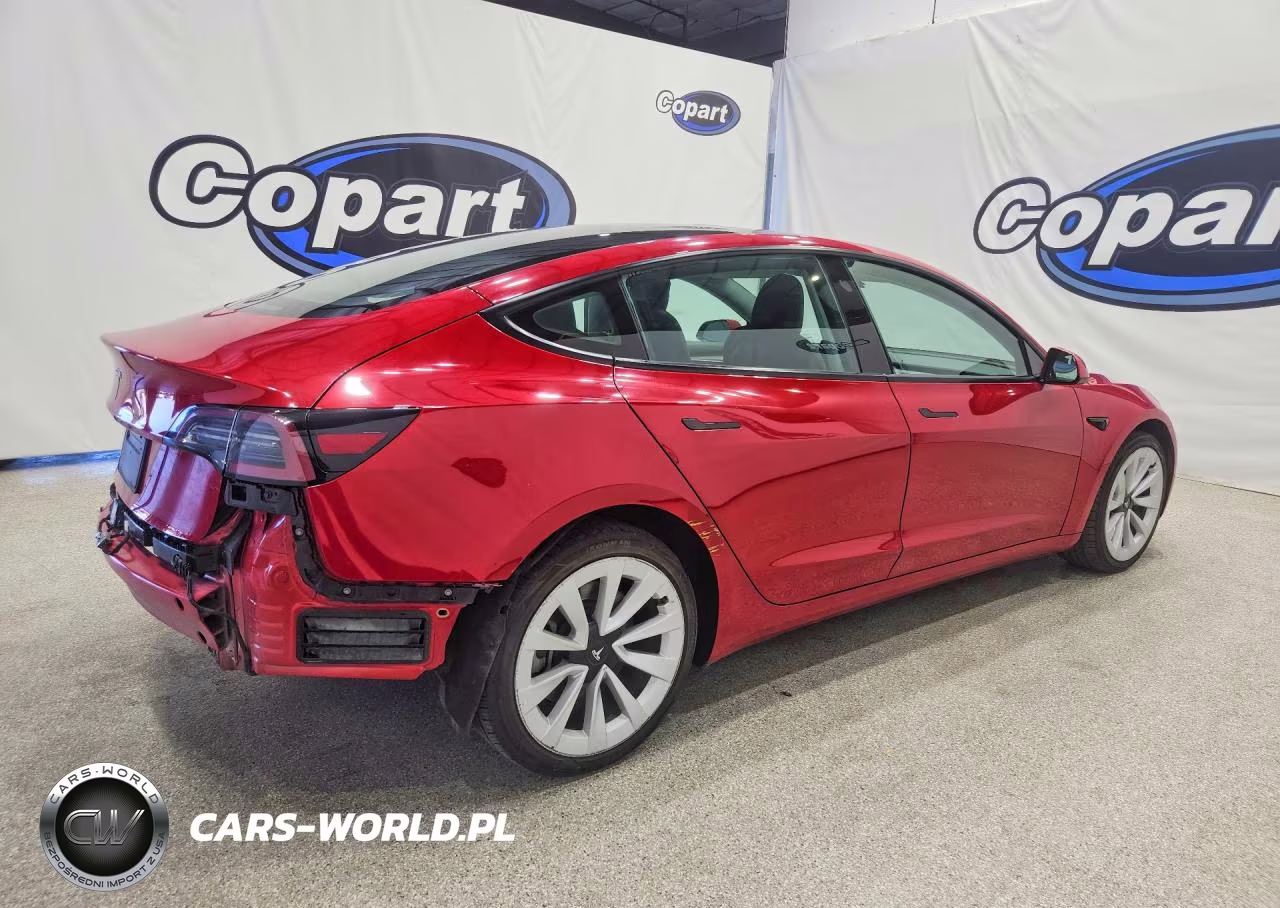 2023 Tesla Model 3 VIN:5YJ3E1EA3PF460268 - 3