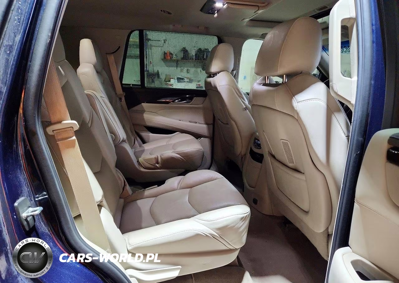 2017 Cadillac Escalade Luxury VIN:1GYS4BKJXHR149399 - 10