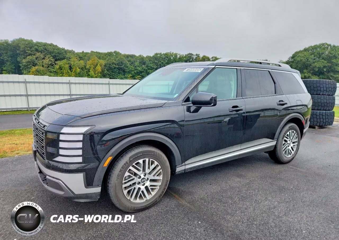 2026 Hyundai Palisade Sel VIN:KM8RLES24TU094564 - 1
