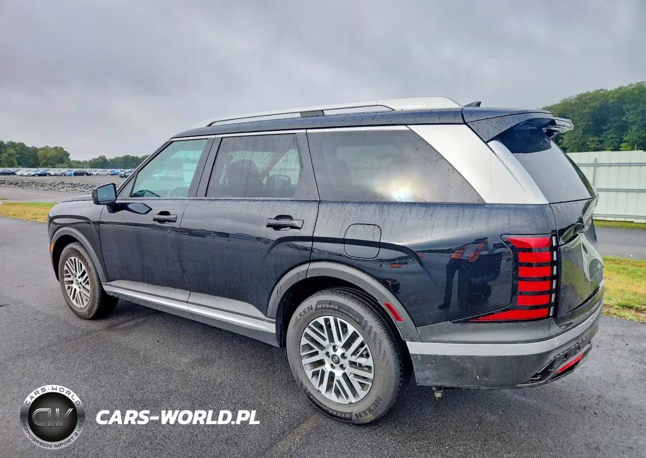 2026 Hyundai Palisade Sel VIN:KM8RLES24TU094564 - 2