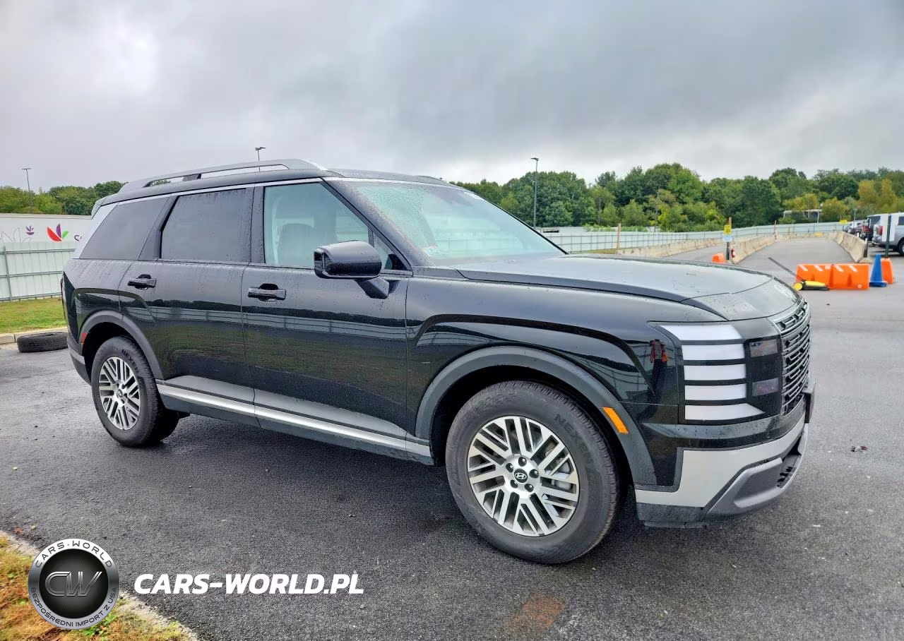 2026 Hyundai Palisade Sel VIN:KM8RLES24TU094564 - 4