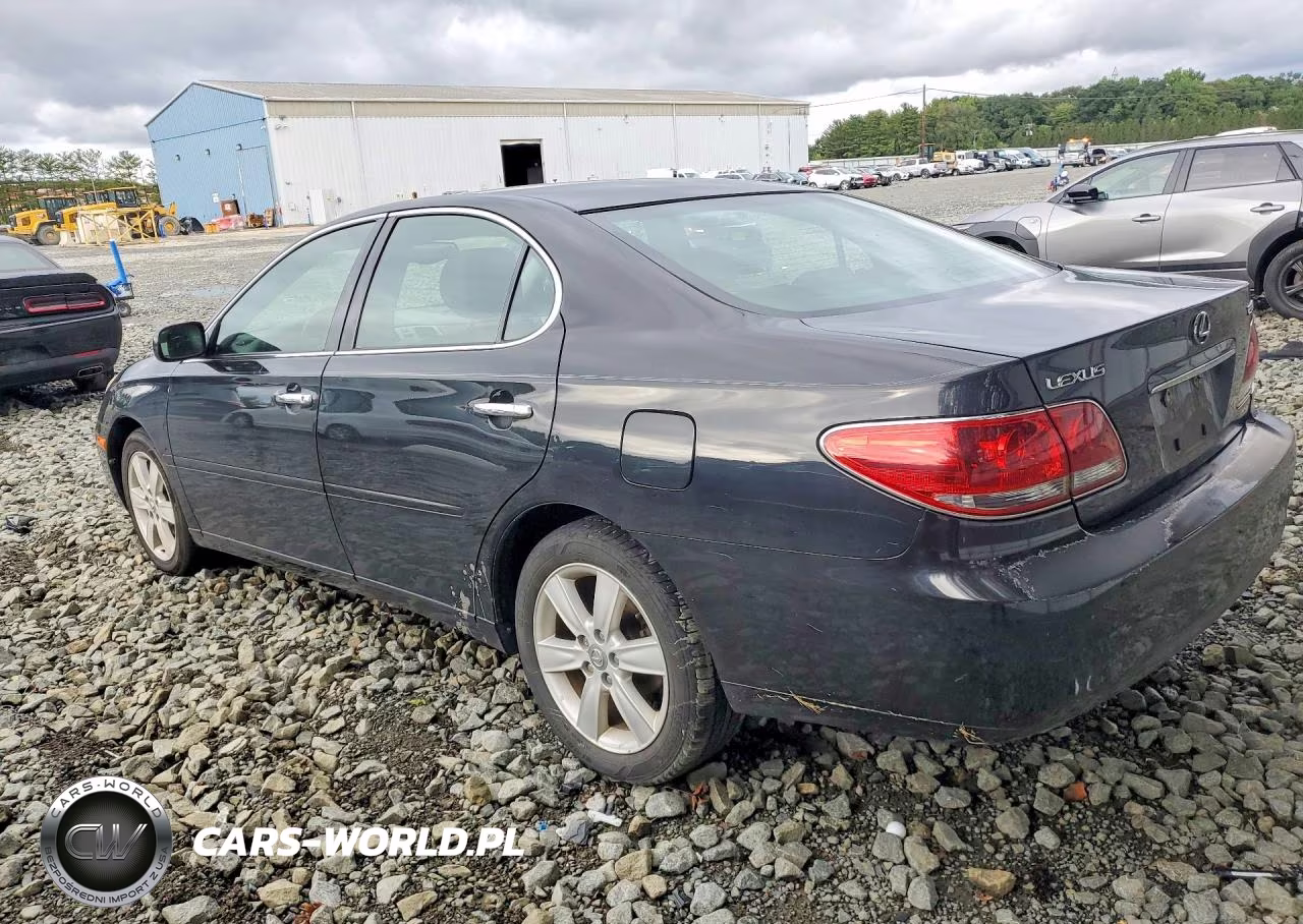 2005 Lexus Es 330 VIN:JTHBA30G355125894 - 2