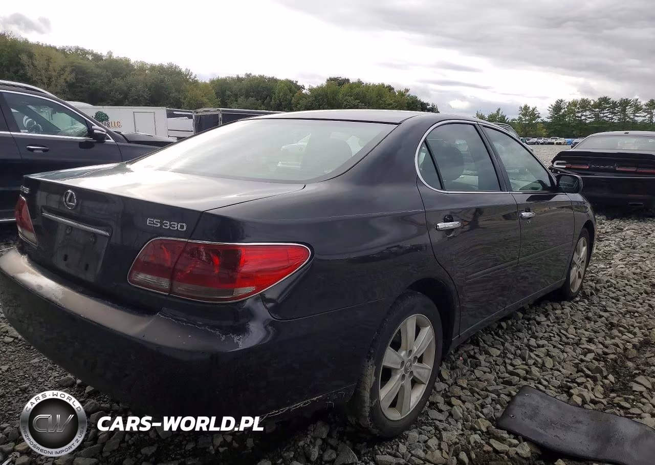 2005 Lexus Es 330 VIN:JTHBA30G355125894 - 3