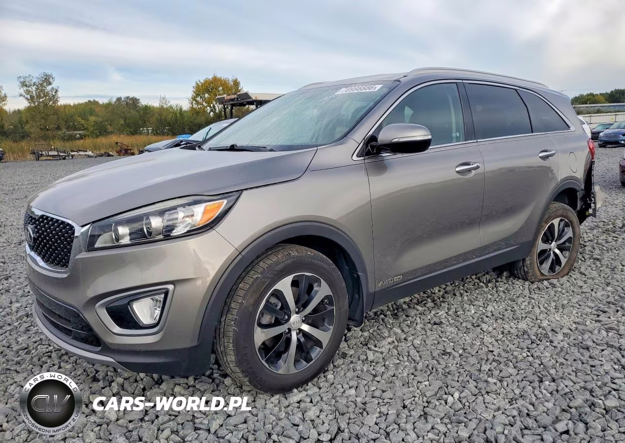 2017 Kia Sorento Ex VIN:5XYPHDA59HG299695 - 1