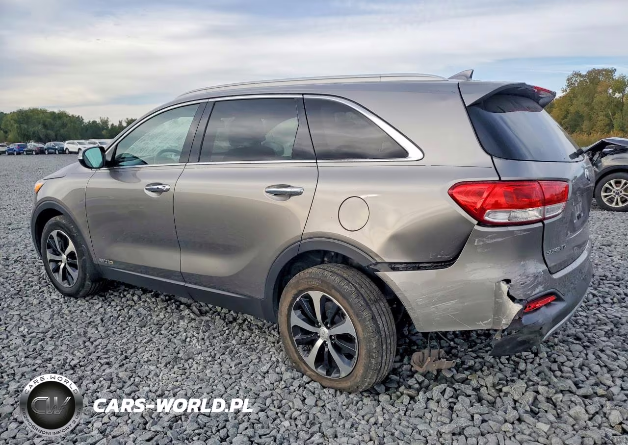 2017 Kia Sorento Ex VIN:5XYPHDA59HG299695 - 2